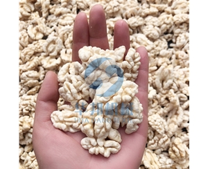 清水核桃仁去皮機(jī) 核桃仁脫衣機(jī) 2020報(bào)價(jià)