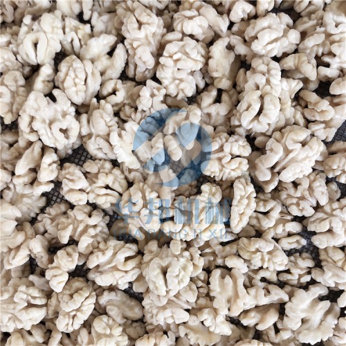 【華邦】核桃仁去皮機 專利核桃仁脫衣機 0添加