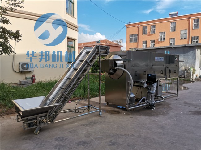 現貨 核桃仁去皮機 免費設計核桃仁去皮流水線