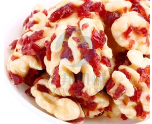 蔓越莓核桃仁加工設備 多口味加工