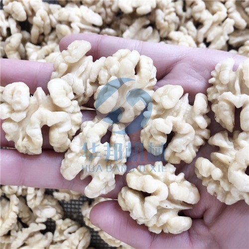 核桃仁去皮機 免費試用