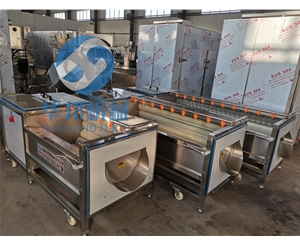 規格齊全 紅薯清洗機 土豆清洗去皮機