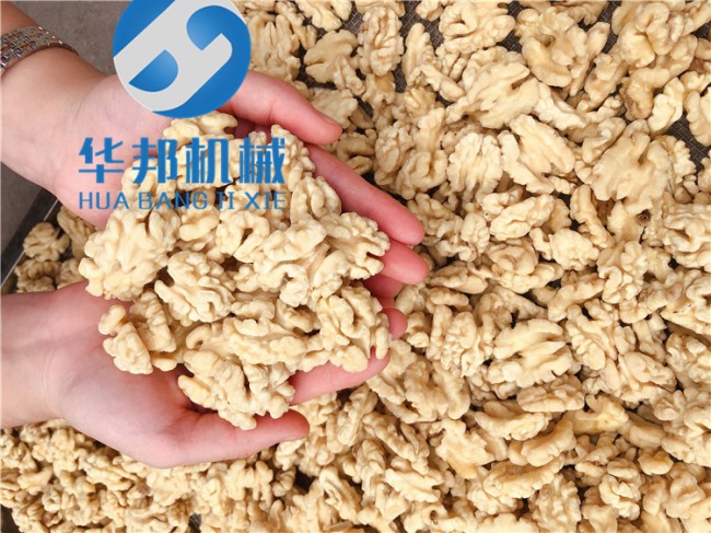 現貨試機 核桃仁烘干機