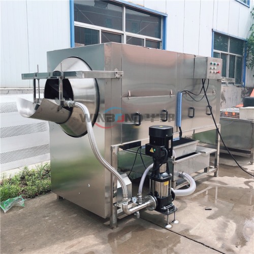 核桃仁脫衣機廠家 華邦核桃仁設(shè)備