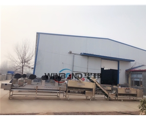 紅薯清洗機 華邦批量紅薯清洗設備 定制流水線