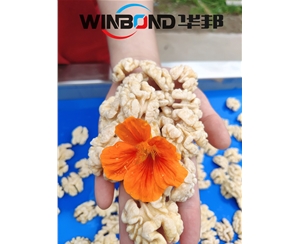 核桃仁脫衣清洗機 華邦核桃仁去皮機 多口味加工