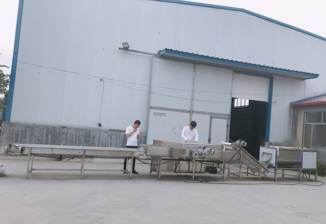 華邦批量定制紅薯清洗機 供應紅薯清洗生產線