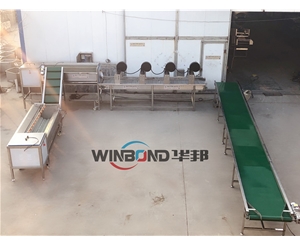 高壓噴淋胡蘿卜清洗機 蘿卜清洗生產線