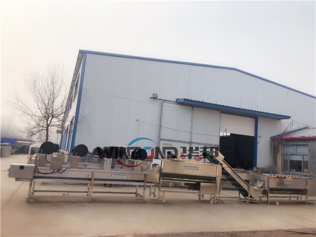 諸城紅薯清洗機 馬鈴薯清洗風干流水線