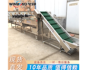 毛輥清洗機 紅薯清洗機 土豆清洗機