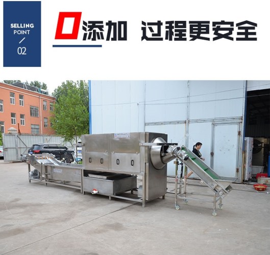 發貨上門 304核桃仁去皮機 純物理去皮機