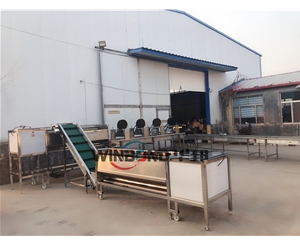 現貨銷售洗薯機 全自動番薯清洗生產線 全國包郵