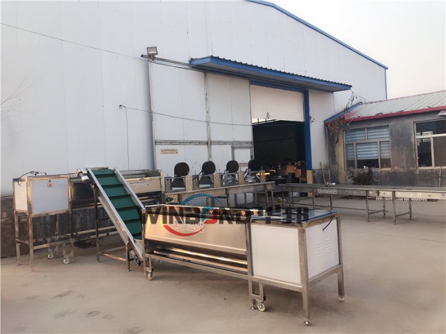 現貨銷售洗薯機 全自動番薯清洗生產線 全國包郵