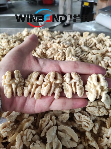 麻子核桃仁去皮機 華邦機械供應 云南核桃仁脫皮機
