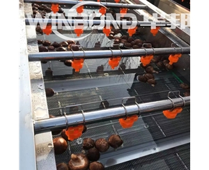 平菇高壓氣泡清洗機 不夾料 鏈板式蘑菇清洗機