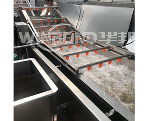 菌菇去雜清洗機 循環過濾 金針菇清洗設備