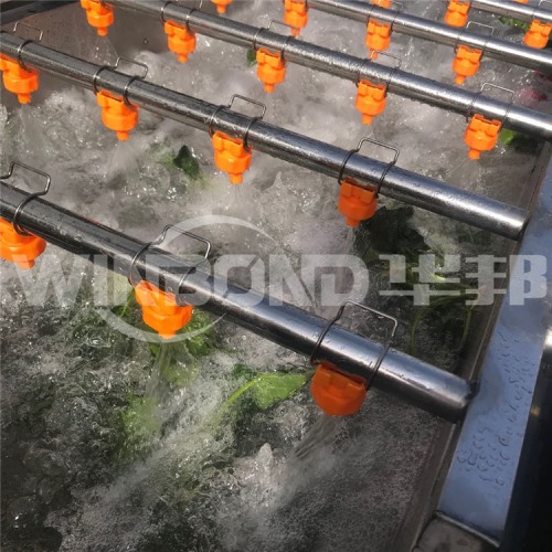 速凍蔬菜加工流水線 香菇漂燙機 廠家定制