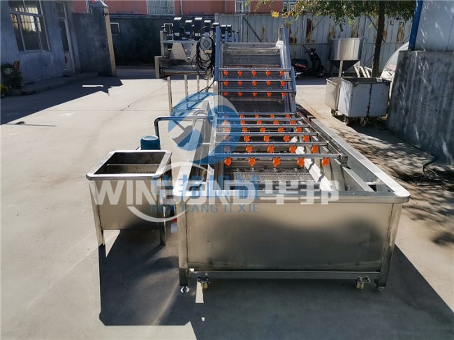 全自動洗魚機 耐腐蝕不生銹 魚類清洗設備