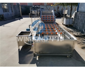 全自動洗魚機 耐腐蝕不生銹 魚類清洗設備