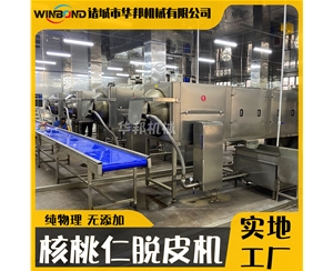 6米核桃仁去皮機(jī) 自動(dòng)過濾核桃仁去皮設(shè)備 華邦