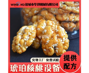 琥珀核桃仁加工設(shè)備 風(fēng)味琥珀核桃仁加工流水線 華邦制造